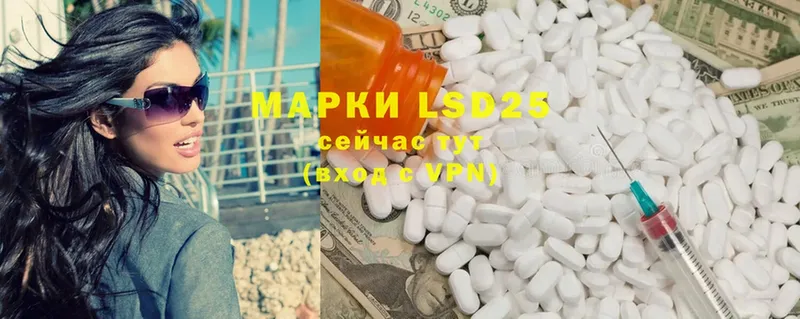 дарнет шоп  Кашин  LSD-25 экстази кислота 